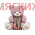 Мягкая игрушка Медведь DL105000208PE